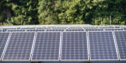 Archeneo_GmbH_floobe_2023_web33 Die Archeneo mit Solarpanelen auf dem Dach für Ökostrom